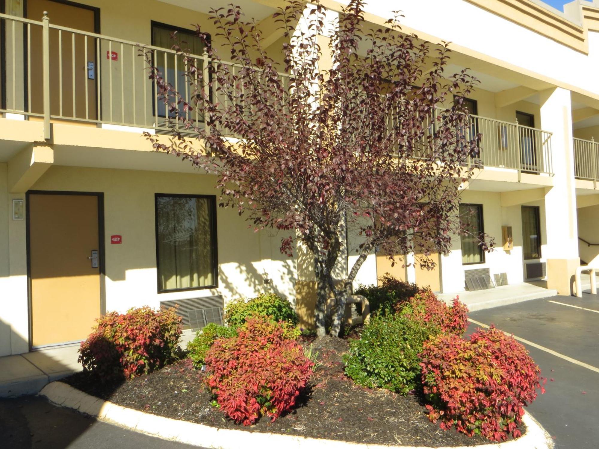 Econo Lodge Lenoir City Bagian luar foto